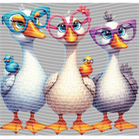 Animal Text Series-AT 956